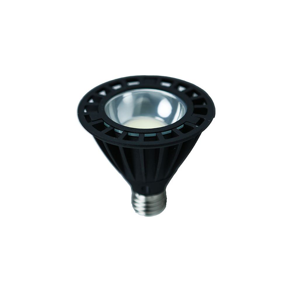 2s lighting par36 10w 220v 6500k e27 ip20 led ampul 2