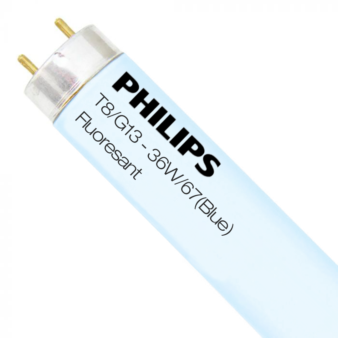 Philips/36w-67-t8-g13-floresan-ampul