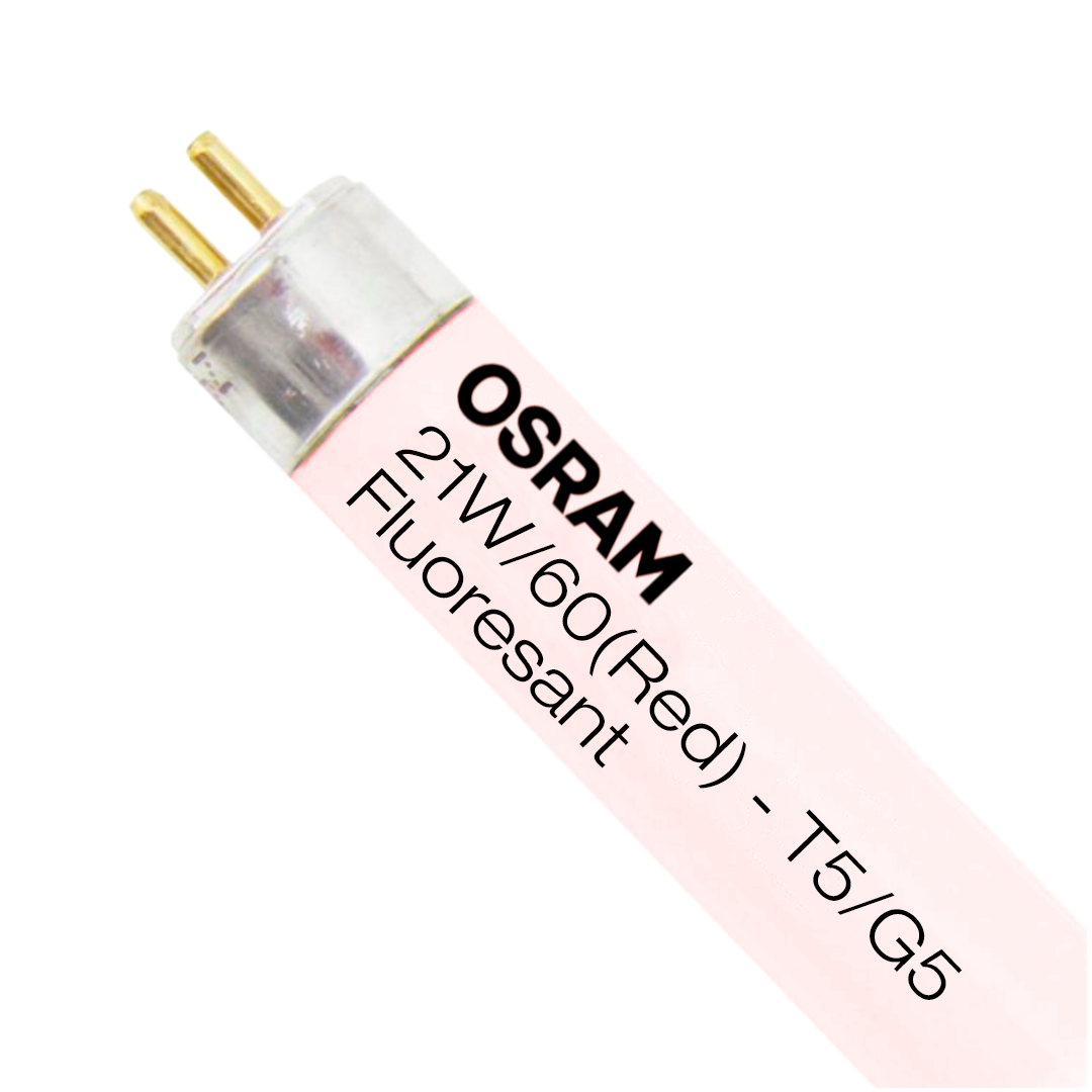 Osram 21W Kırmızı T5 G5 Floresan Ampul