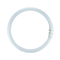 Philips Master TL5 22W 1800LM 3000K T5 Simit Floresan Ampul