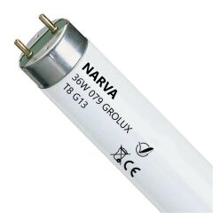 36W Grolux T8 G13 Kasap Floresan Ampul